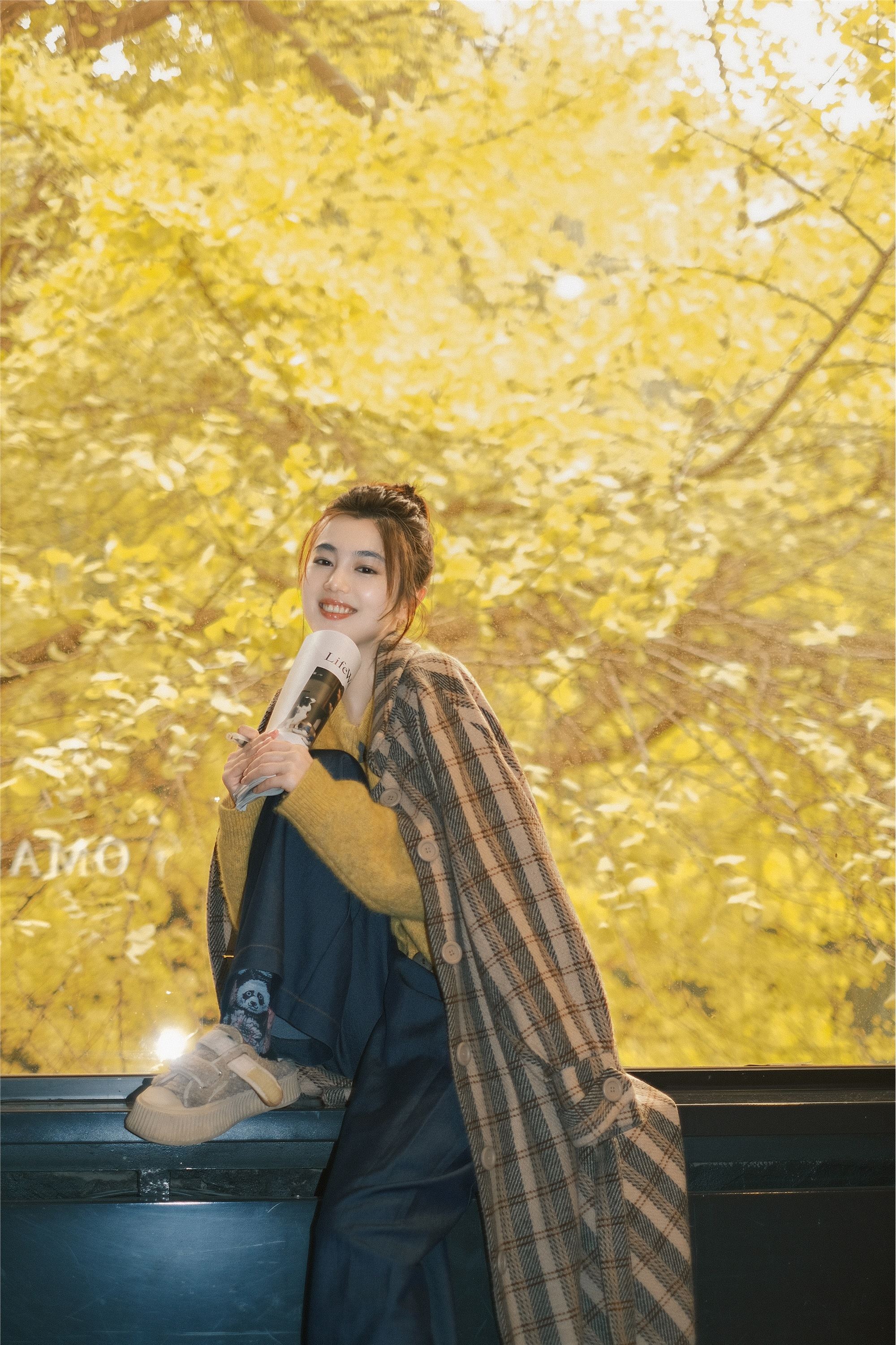 YITUYU艺图语 2025.01.26 窗边秋色 凡凡